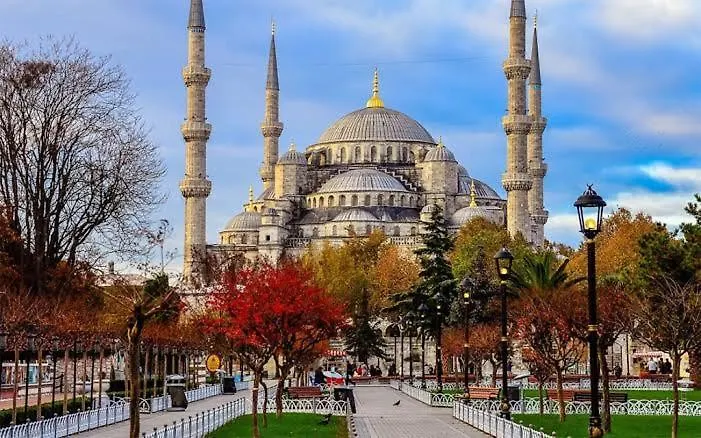 Erkul 1 no lu daire İstanbul 0*,