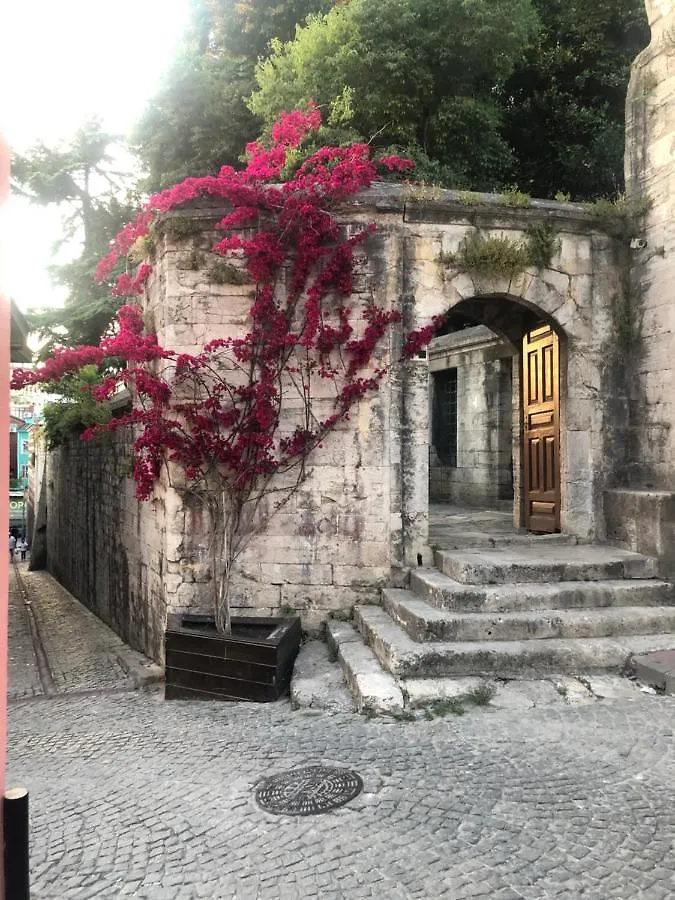 Erkul 1 no lu daire İstanbul
